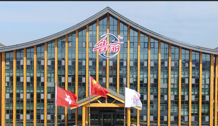 鲁丽集团有限公司