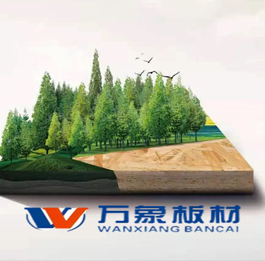 湖南旺德府木业有限公司